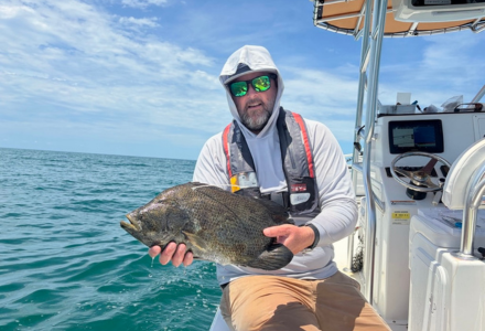 Tripletail fish