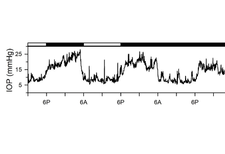 circadian rythm