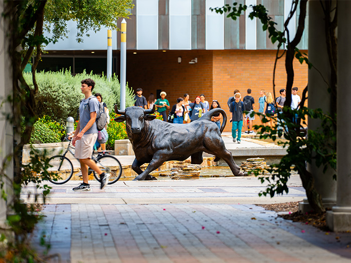 USF’s newest first-year class raises the bar, setting records for high school GPA, SAT scores and National Merit Scholars