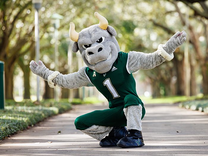 What’s new at USF: Coaches, facilities, student services and more