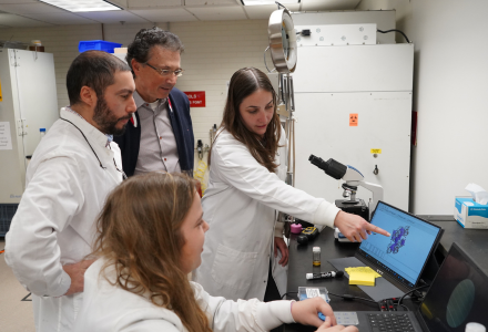 Research teams examine the properties of the new material