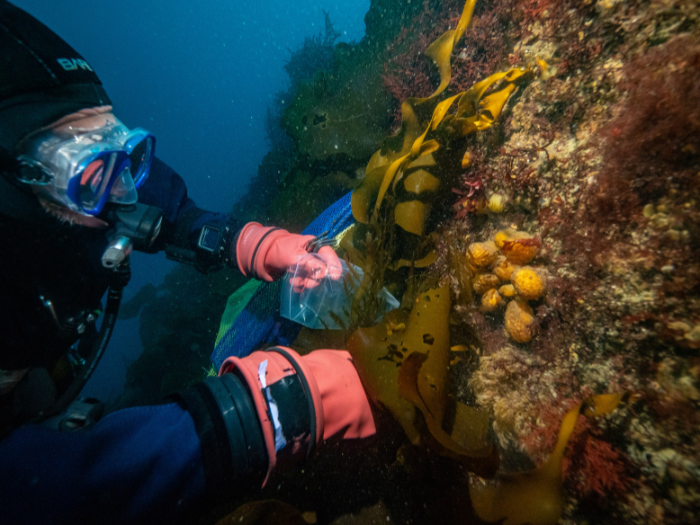 USF expedition to Antarctica advances research on potential melanoma treatment
