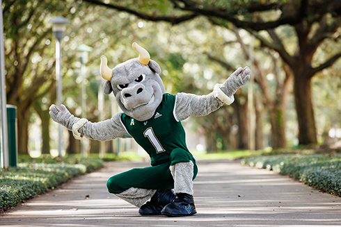 University of South Florida: A Preeminent Research University