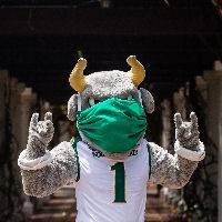 Bull
