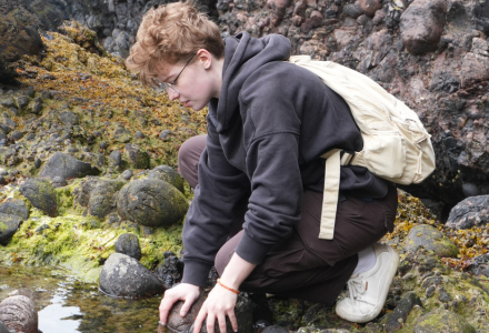 Gray crouching down looking at rock in a stream