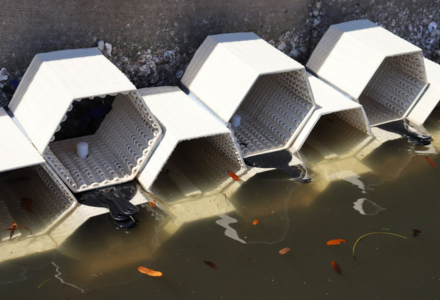 Oyster habitat bricks on sea wall