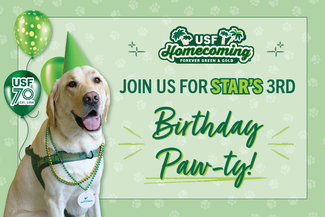 Star the therapy K9 with a birthday hat and balloons