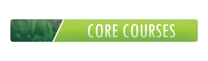 core courses button