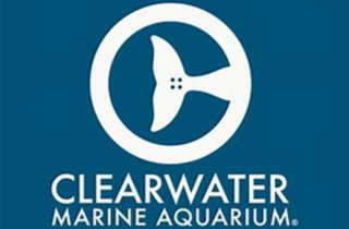 Clearwater Marine Aquarium