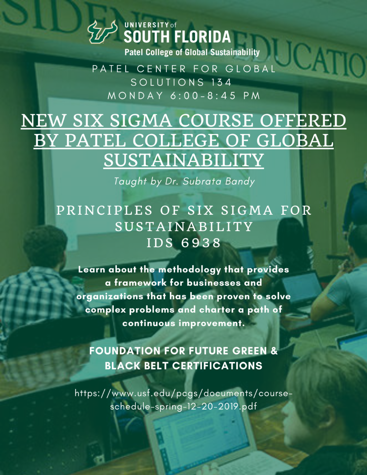 principles-of-six-sigma-for-sustainability