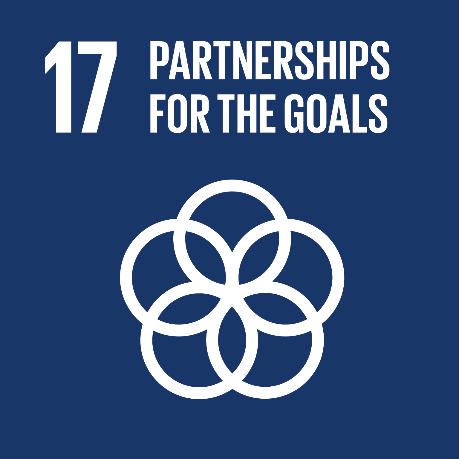 sdg-17