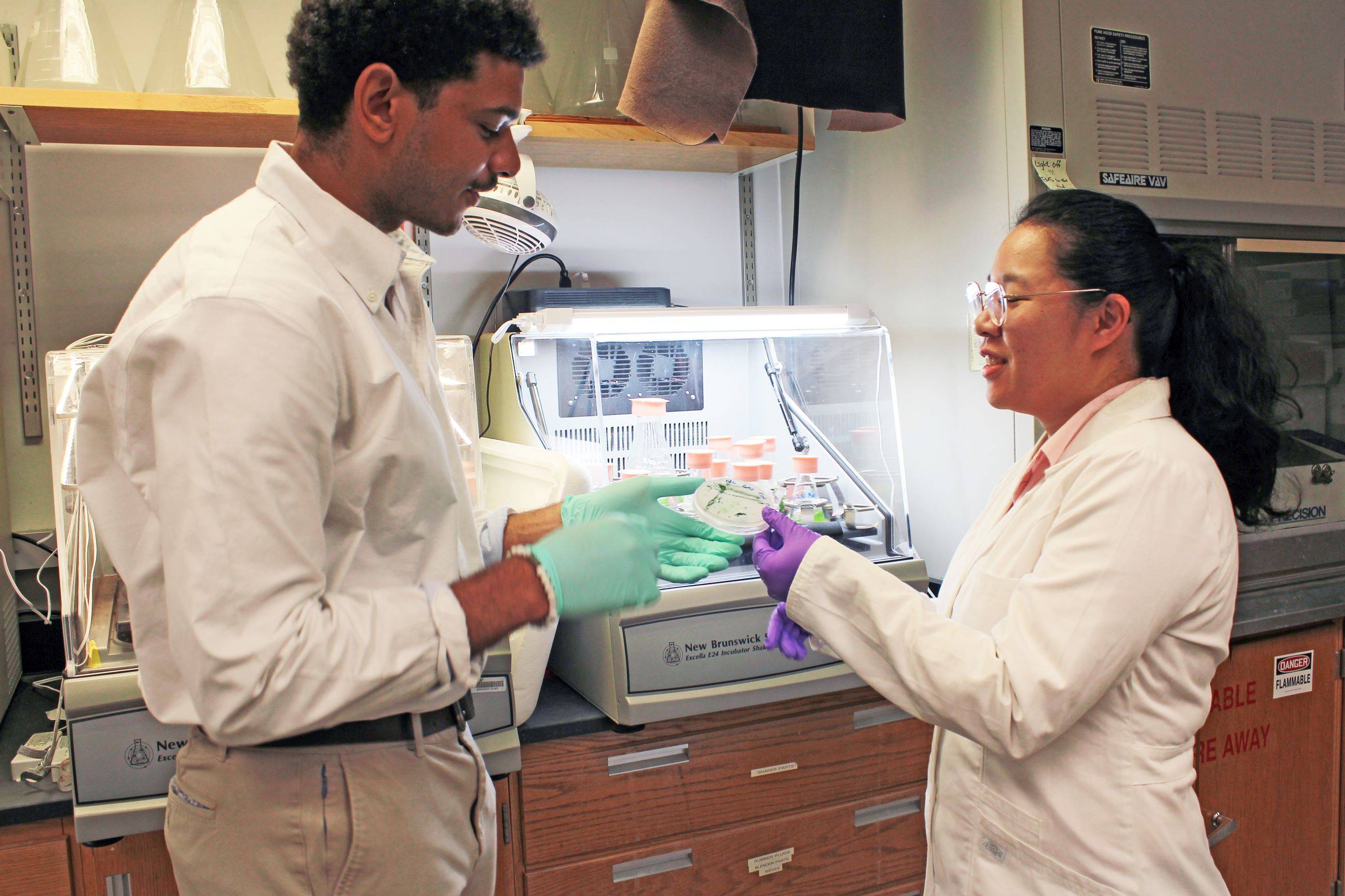 Two people in a lab wearing blue gloves