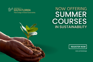 Summer Courses 2023