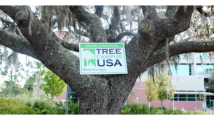 USF designated Tree Campus USA 2014