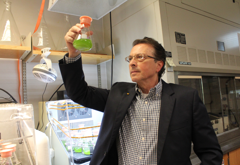 Dr. Philippidis Algae Research