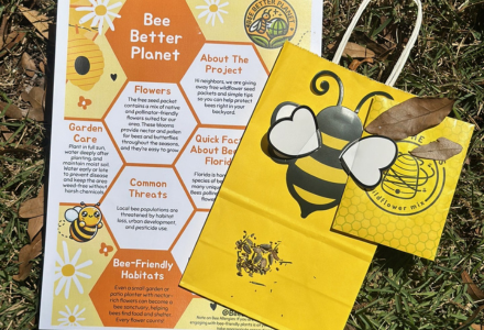 Bee Care Kits