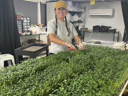 Lujuan interning for the Fatbeetfarm