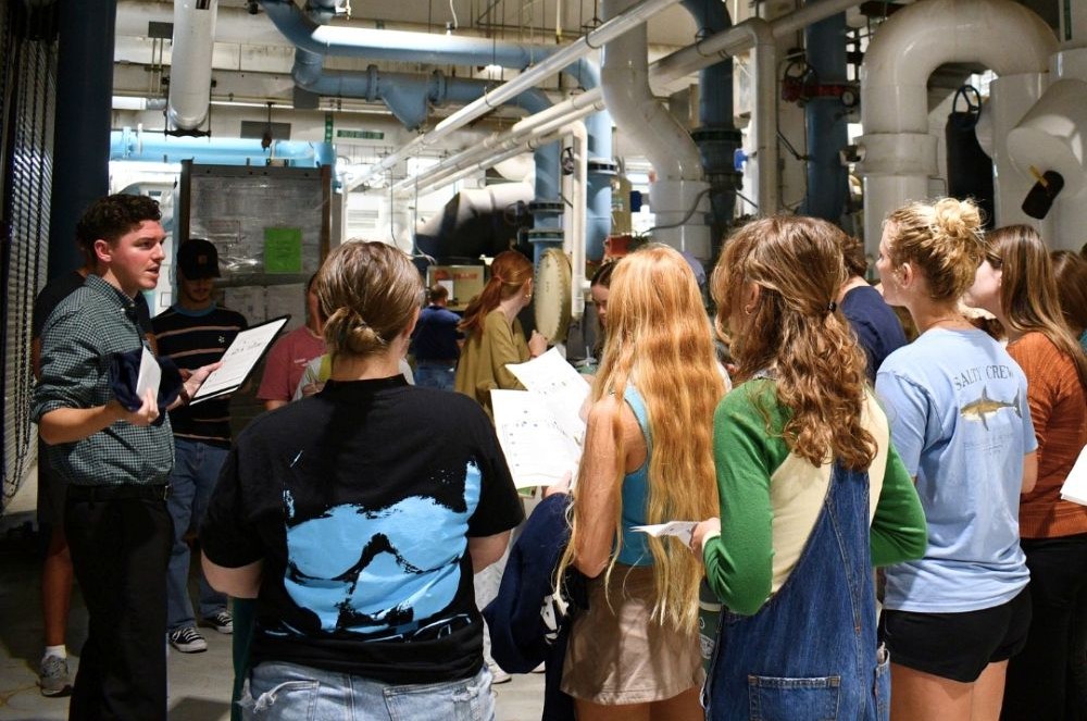 William gives a tour