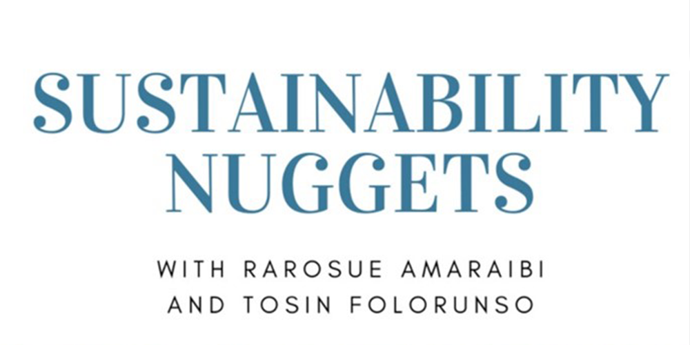 Sustainability Nuggets