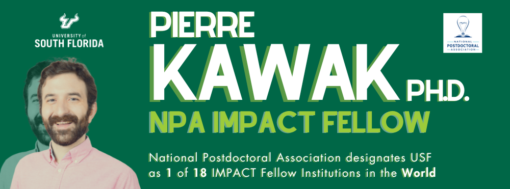 NPA Fellow