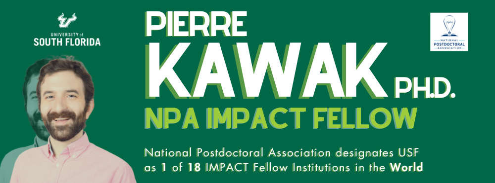 NPA IMPACT Fellow