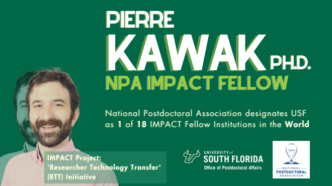 Kawak IMPACT Fellow