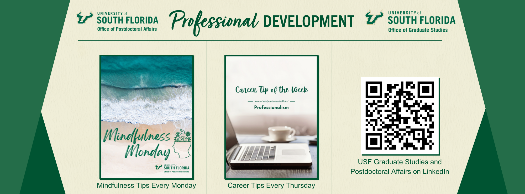 LinkedIn Professional Development 