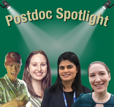 Postdoc Spotlight