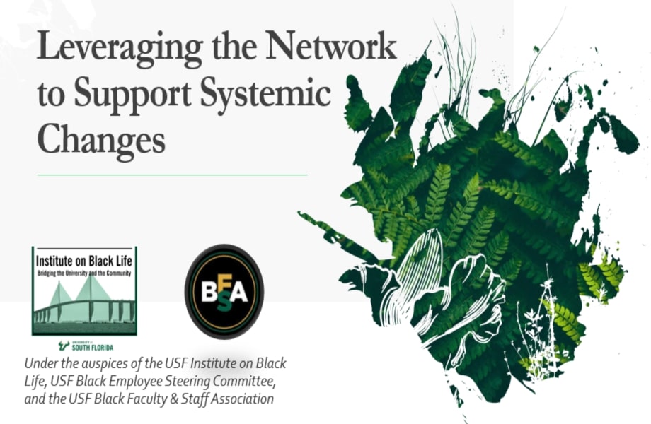 Leveraging the Network to Support Systemic Changes.