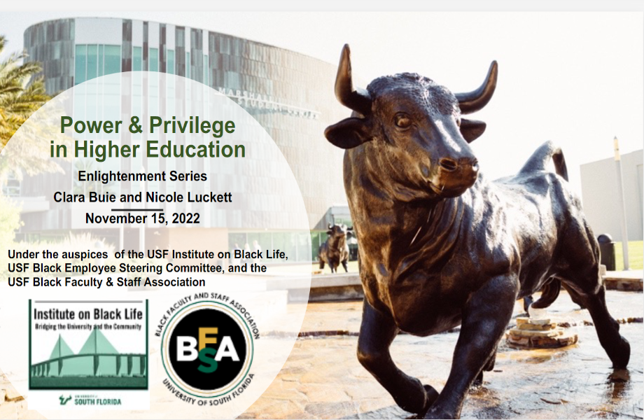 Power and Privilege in Higher Education