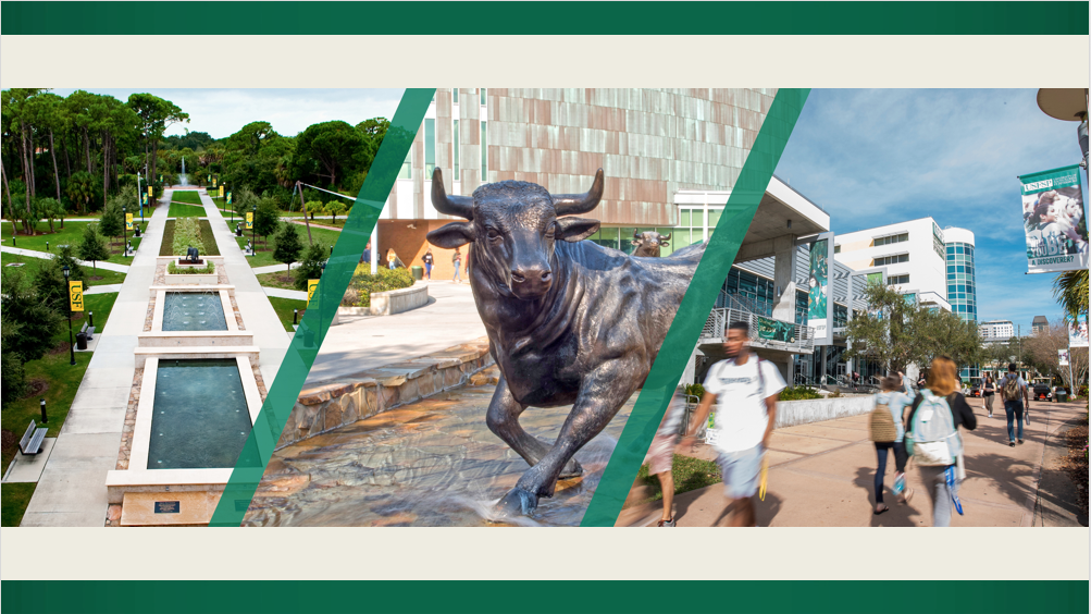 Three images together, one of each usf campus