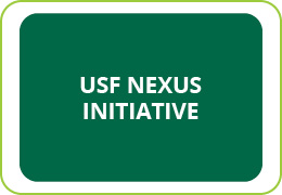 nexus icon
