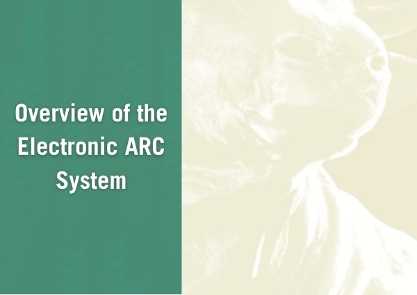 overview of electronic arc system text over bull statue graphic