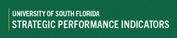 strategic performance indicators