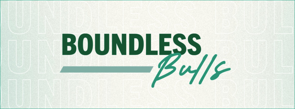 Boundless Bulls