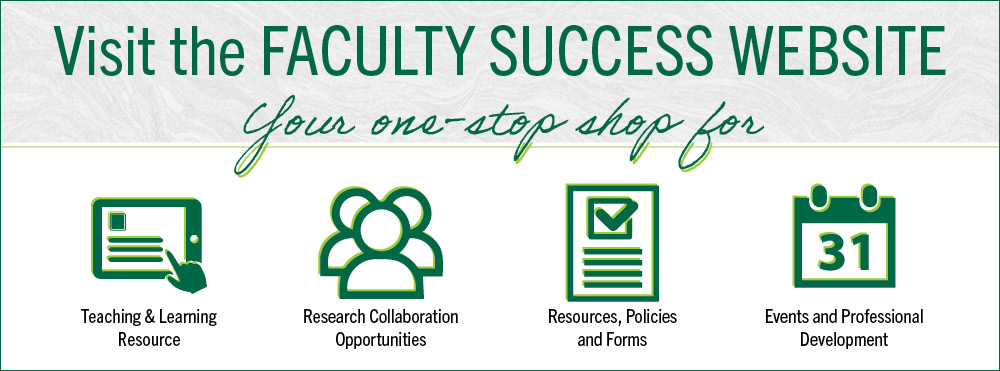 Faculty Success website