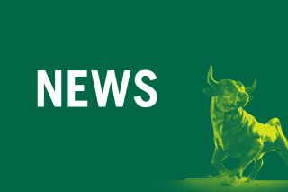 Green graphic with USF bull icon and "news"