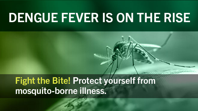 Graphic with a mosquito and text that speaks to the rise in Dengue Fever