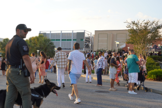 K9 in the crowd