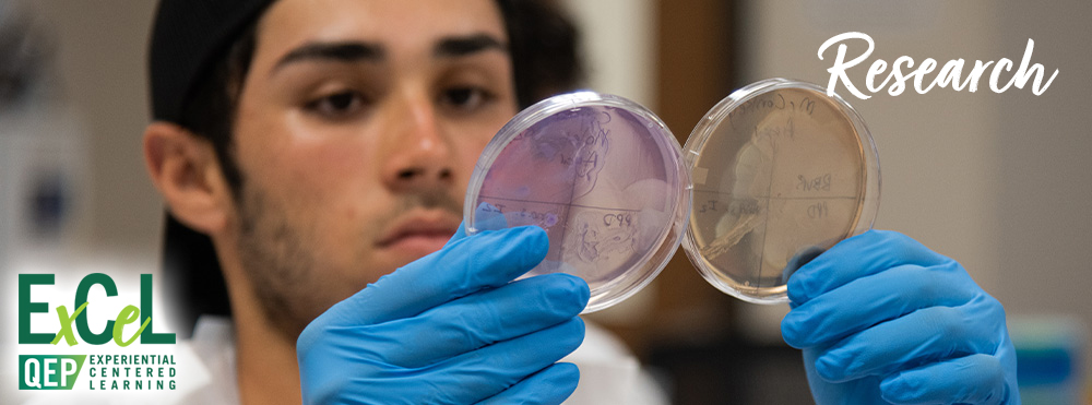 male student in white lab coat with blue gloves comparing two petri dishes