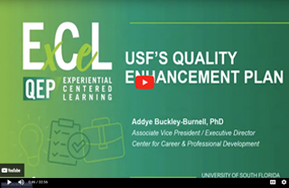 screen shot of the QEP overview video title