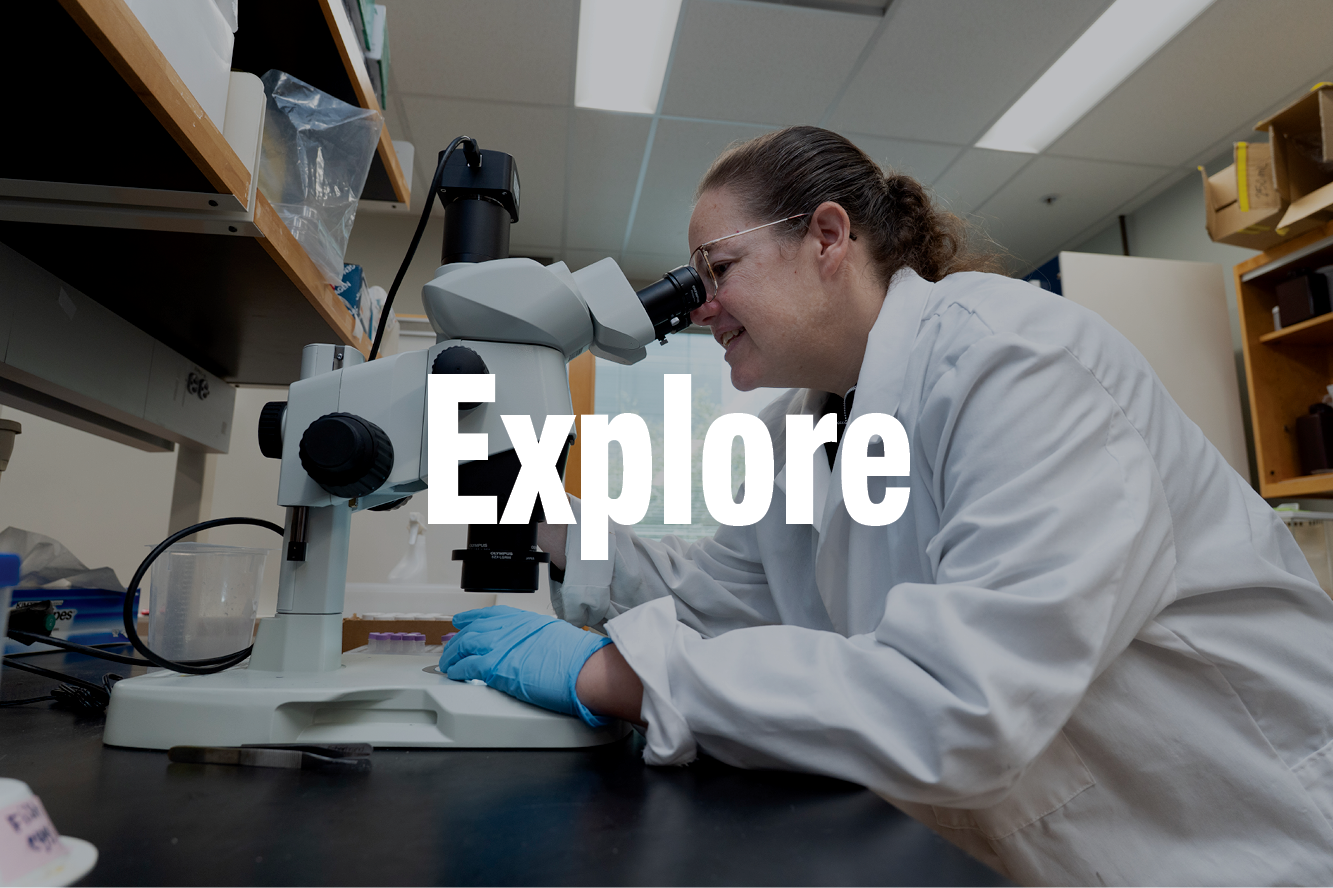 Scientists working
