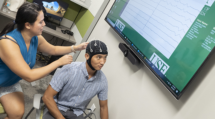 brain mapping