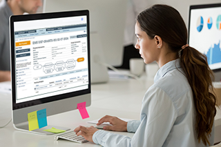 Using the Bulls iResearch workspace