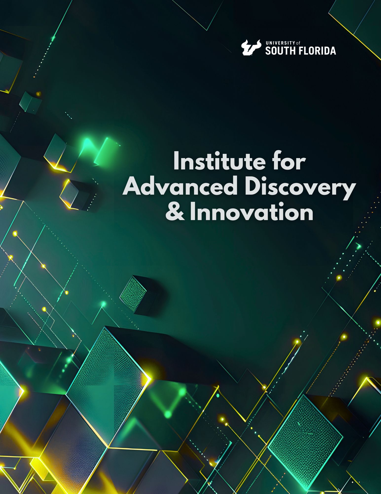IADI program cover