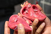 3D heart