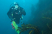 underwater diver