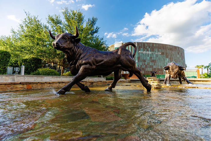 A dynamic shot of the USF Bull statues