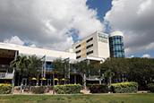 human trafficking clinic