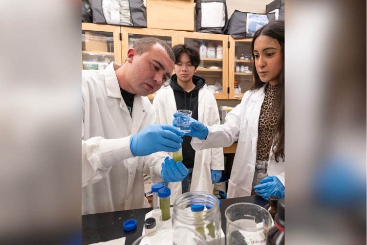 Ivan Martinez Diaz-Muro and his team working in the lab.